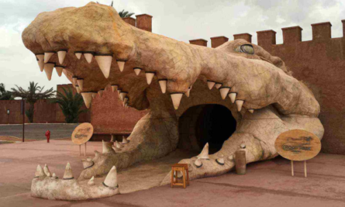 Crocoparc Agadir & Botanical Gardens Tour