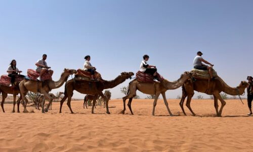 Massa 4×4 Desert & Nature Excursion from Agadir