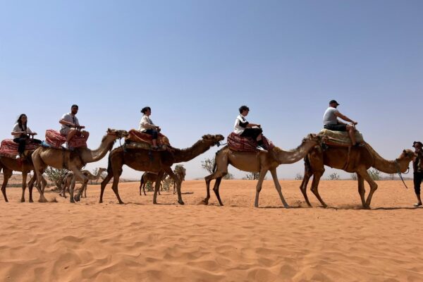 Massa 4×4 Desert & Nature Excursion from Agadir