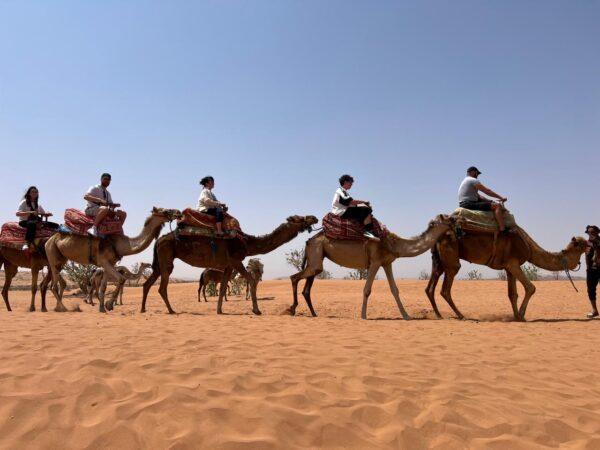 Massa 4×4 Desert & Nature Excursion from Agadir