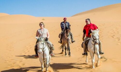 Horseback Riding in Agadir: Eucalyptus Forest & Flamingos