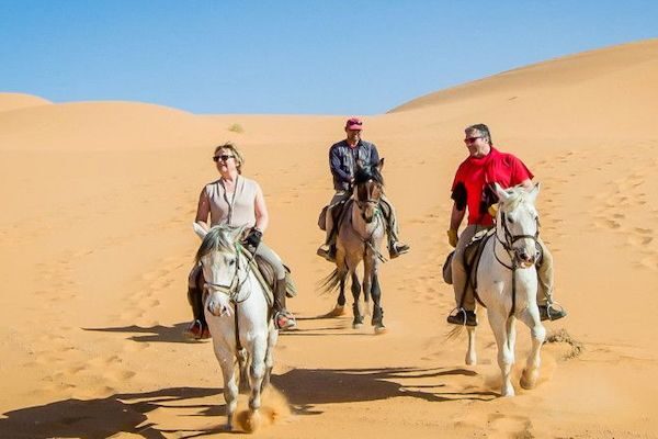 Horseback Riding in Agadir: Eucalyptus Forest & Flamingos