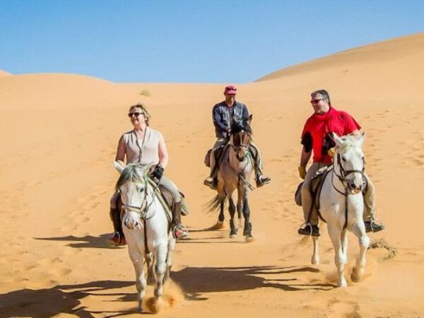 Horseback Riding in Agadir: Eucalyptus Forest & Flamingos
