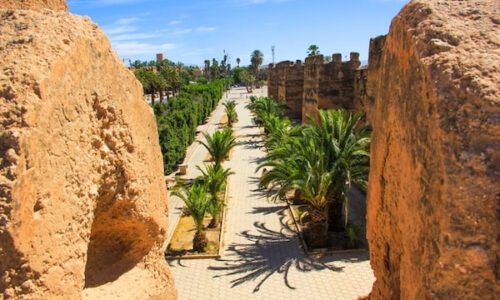 Taroudant & Tiout Day Trip from Agadir